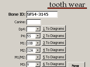 Tooth Recording