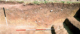 Area 1 -section of intra-mural ditch (period 4), trench 3.