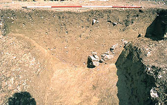 Central ditch, area 1.