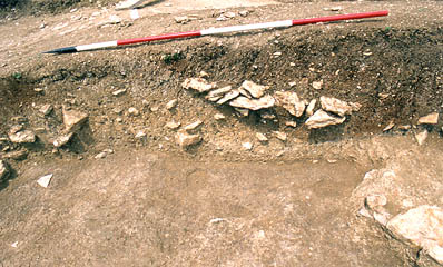 Area 1, deposits on the berm - Part of palisade trench in section.