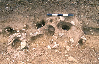 Area 2 - length of palisade trench - detail.