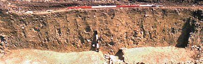 Central ditch, area 3.