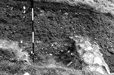 Wareham excavations 1952-4. View showing 'robber trench' of wall, and spill of stones form its destruction.