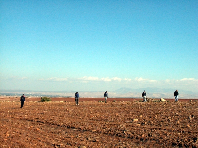 Figure 3: Fieldwalking SU3049 in the Koutraphas intensive survey zone, with five fieldwalkers 5m apart. Taken from the south-west, with the Kyrenia Range in the background, 14 November 2003. Photograph: Michael Given.
