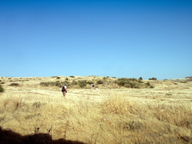 Fig. 25. Roman farmstead at Linou Vrysi tou Hadjichristophi (TP202), taken from the spring to its south-east. The foundations of two small structures lie in the bushes. Photograph: Michael Given.