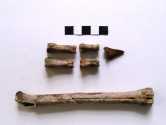Roe deer foot bones from context 4111