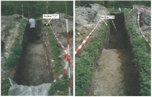Figure 5: Photographs showing the site locations of columns 7737 and 7738 at Krabbesholm. The picture on the left is looking up the slope of the midden and the picture on the right looks down the slope (photographs taken by N. Milner)