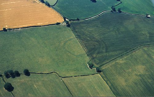 Figure 4: Cropmarks of Collfryn hillslope enclosure near Welshpool. Farmstead began during the Iron Age and lasted into the Roman period. Photograph by C.R. Musson, Crown Copyright RCAHMW, D12011_0791