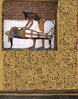 Anubis and the mummy