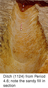 Ditch (1124) from Period 4.6; note the sandy fill in section