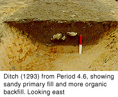 Ditch (1293) from Period 4.6, showing sandy primary fill and more organic backfill. Looking east.