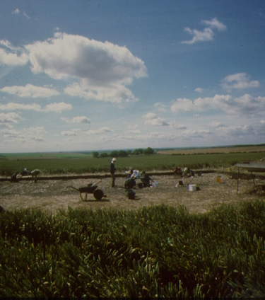 Excavating at Cottam in the sunshine