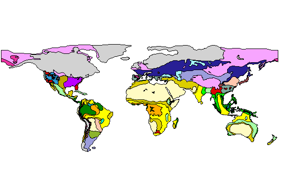Global LGM map