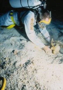 divers recovering artefacts