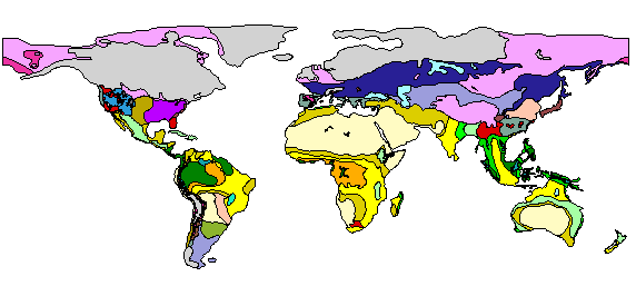 Global LGM vegetation map