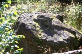 Cupped stone at Zistow