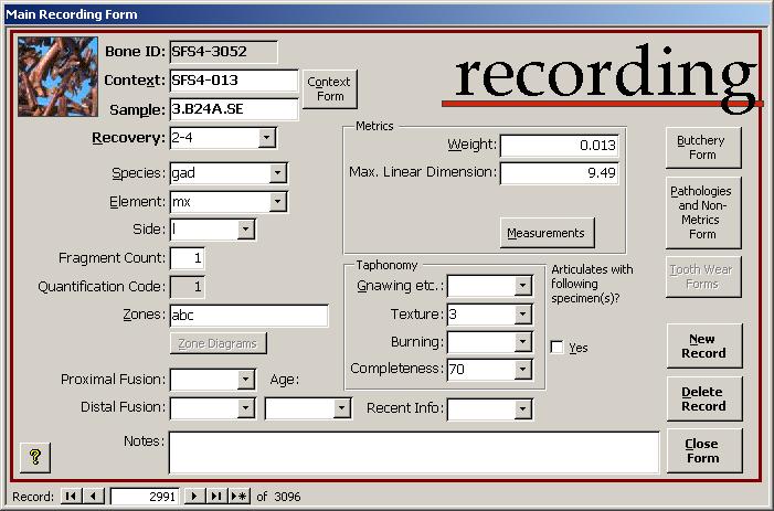 Screenshot of the recording system