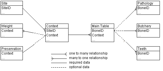 Diagram showing relationships in the database