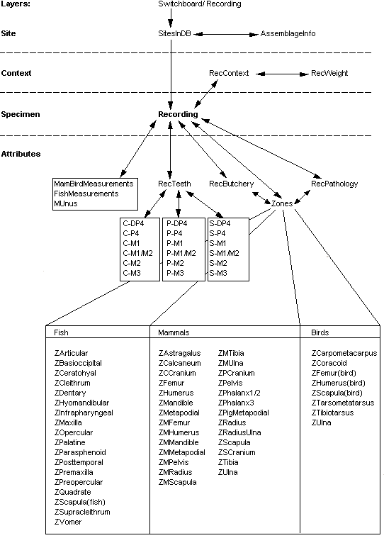 Diagram showing the forms used in the database