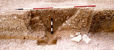 Palisade trench in section.