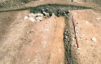 Length of palisade trench excavated.
