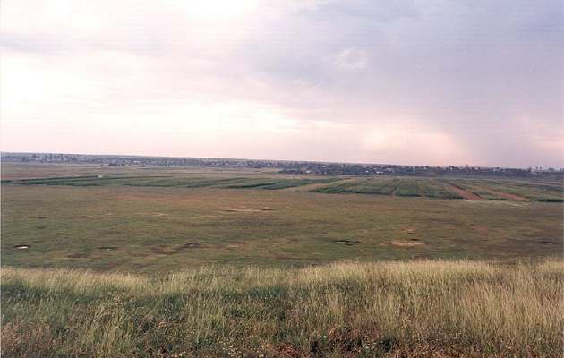 Photograph of floodplain in study area