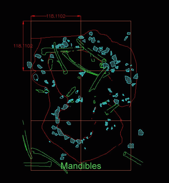 Animated GIF of an AutoCAD plan of House 8. Broken red lines indicate edges of the house mound and interior depression. Elements are colour-coded according to type. Pink = skulls, Green = mandibles, Yellow = premaxillae/maxillae, Grey = ribs, and Blue = rocks