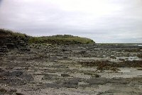 Rocky foreshore and wave-cut bank on Westray, Orkney.