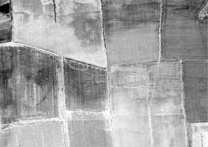 Multi-spectral image of a segment of the ladder settlement showing a combination of bands 7 and 12.