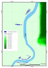 The perimarine zone