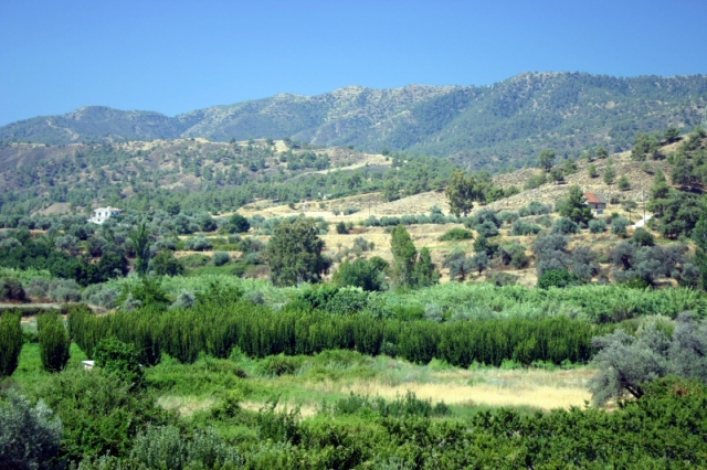 Figure 21: Karkotis Valley looking north-west, with the site of Agroladhou on the left (by the large white house), and Ayia Varvara (BU0087) on the right. Photograph: Michael Given.