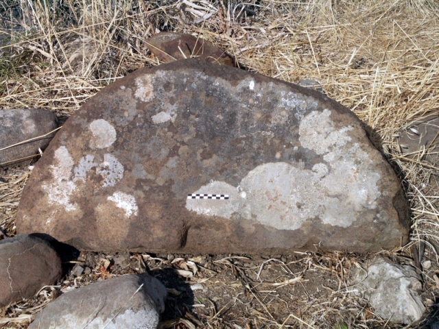 Figure 26: Millstone from Roman farmstead at Linou Vrysi tou Hadjichristophi (TP202). Photograph: Michael Given.