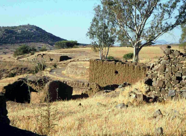 Figure 31: 19th and 20th-century seasonal settlement of Kato Koutraphas Mandres (TS07) from the south-west, looking from the core of the settlement. Photograph: Michael Given. 