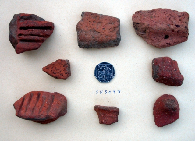 Figure 44: Field shot of pottery from Kato Koutraphas Petrera (TP242), including two 'slashed handles'. Photograph: Michael Given. 