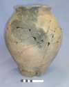 Silchester Ware jar SF3729 from pit 6602 