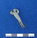 SF3913 Nauheim Derivative Brooch