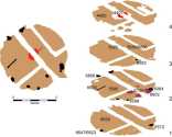 Early Roman Timber Building 3: the stratigraphy