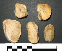 Figure 2. Bipolar flint cores from Waterford Harbour, typical for the small local flint pebbles