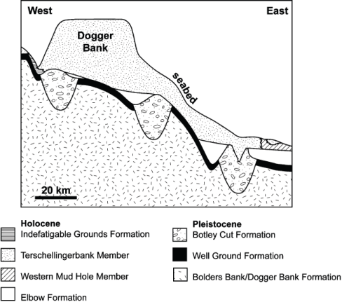 Figure 3: Simplified cross-section (not to scale) of the stratigraphy of the Pleistocene and Holocene of the Dogger Bank area. Adapted from Laraminie 1989a and 1989b