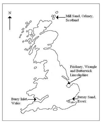 Figure 1: Map showing the location of the modern cockle collection sites in Britain.