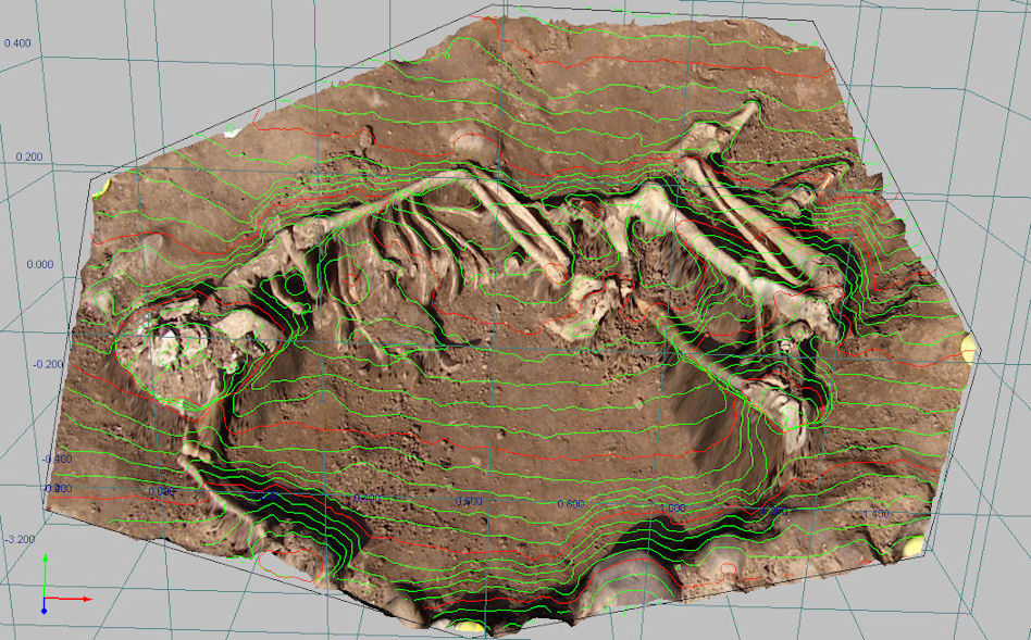 Figure 5: Skeleton in situ with countour lines