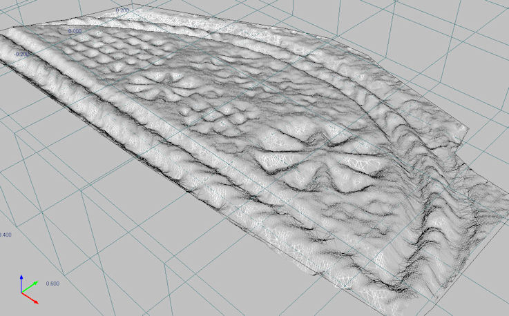 Figure 6: Oblique view of a mesh generated over a subject with low relief