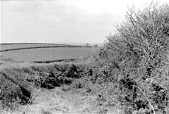 Ditch and ramparts of Castle Dore, Cornwall.