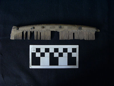 Bone comb and scale