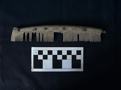 Internet Archaeol. 30. Ashby. An Atlas of Medieval Combs from Northern ...