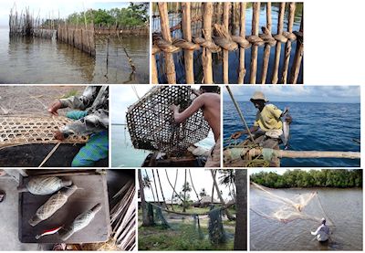 Fishing off the Swahili coast