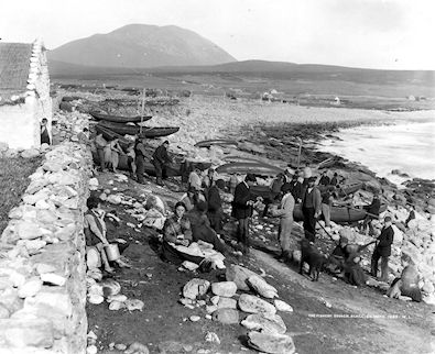 Curraghs and the fishing community at Dooagh village on Achill, c. 1890