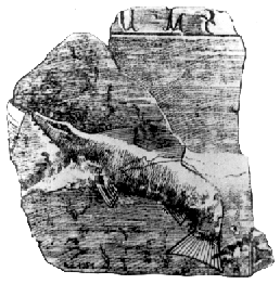 Figure 4: Drawing of a 14th century red marble tombstone from Budapest - Margitsziget