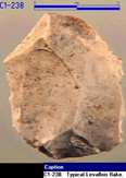 Image of C1-283, a typical Levallois flake
