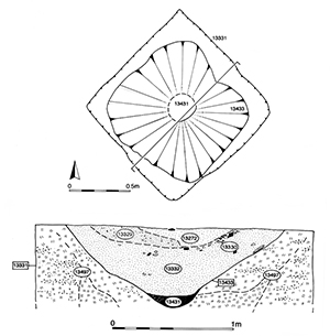 Figure113